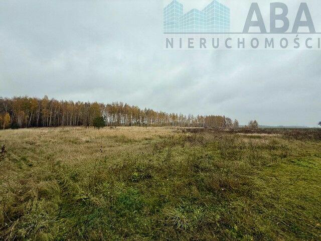 Wacławów gm. Lądek - działka inwestycyjna/ komercyjna