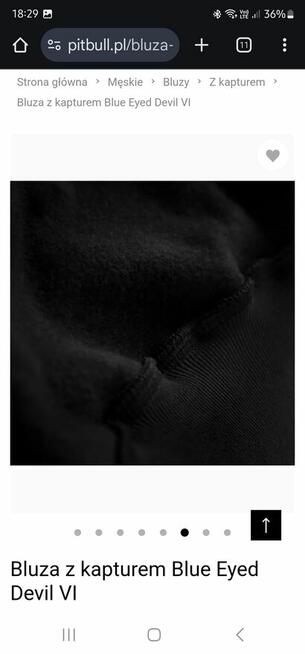 Bluza z kapturem Blue Eyed Devil VI