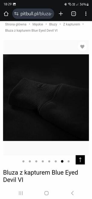 Bluza z kapturem Blue Eyed Devil VI