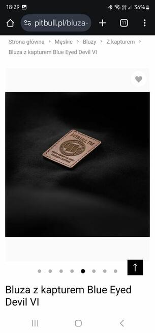 Bluza z kapturem Blue Eyed Devil VI