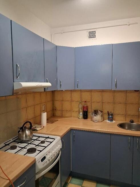 mieszkanie na wynajem od zaraz!