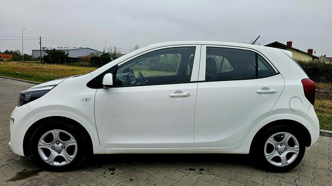 Kia Picanto 2023 rok. Benzyna przebieg 20 000