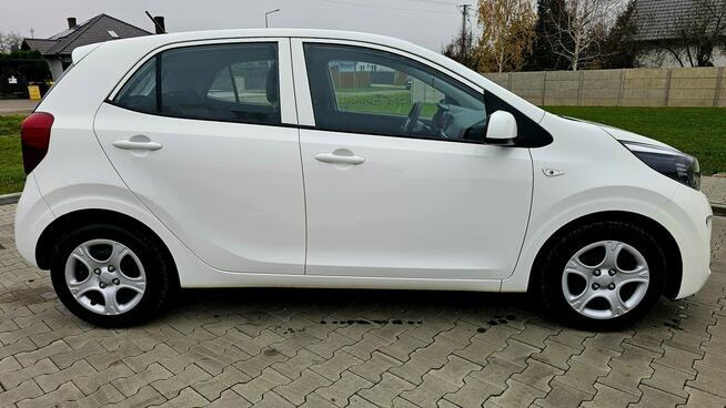 Kia Picanto 2023 rok. Benzyna przebieg 20 000