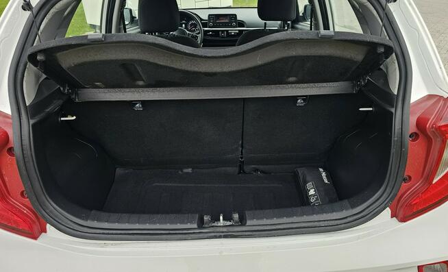 Kia Picanto 2023 rok. Benzyna przebieg 20 000