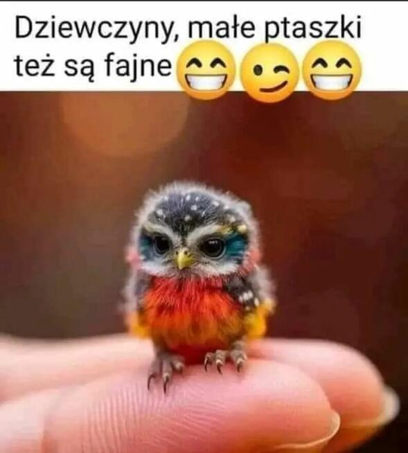 Poznam Panią