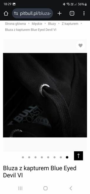 Bluza z kapturem Blue Eyed Devil VI