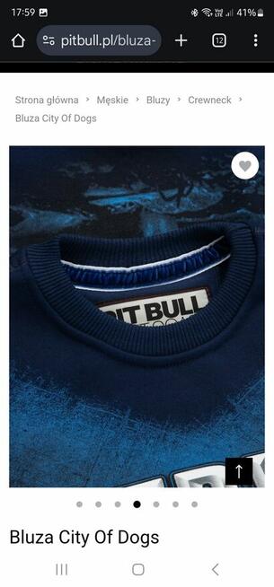 Bluza Pit Bull model City of Dogs 19