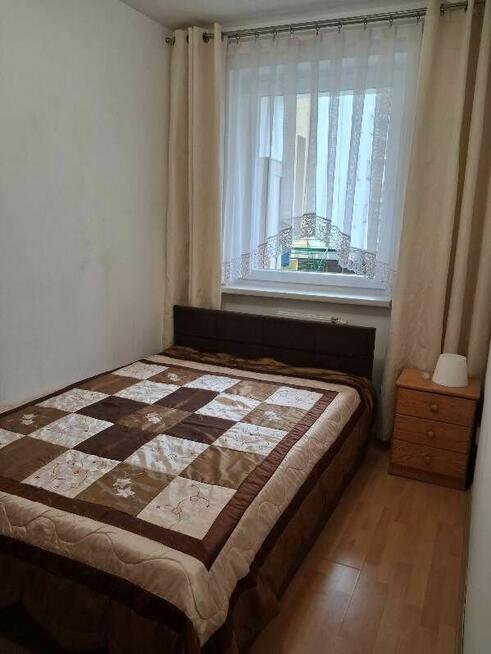 mieszkanie na wynajem od zaraz!