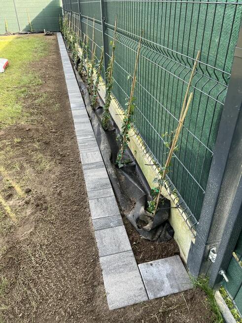 Usługi brukarskie ziemne ogrody nawadnianie