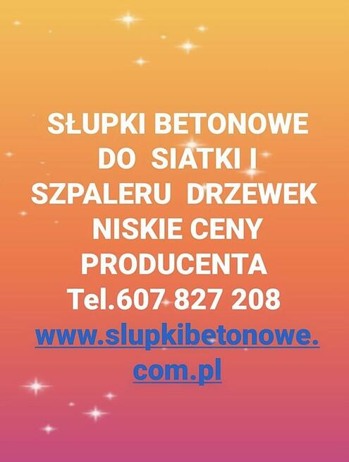 Słupki betonowe do siatki leśnej i szpaleru sadu
