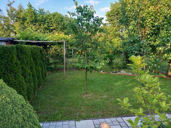 Sprzedam działkę ROD