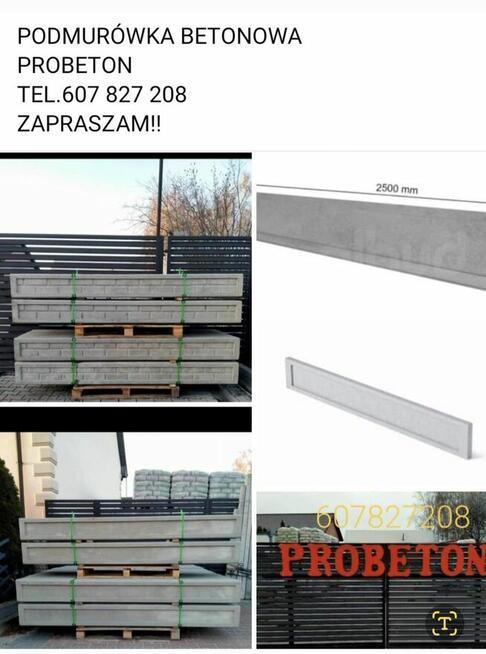 Słupki betonowe do siatki leśnej i szpaleru sadu