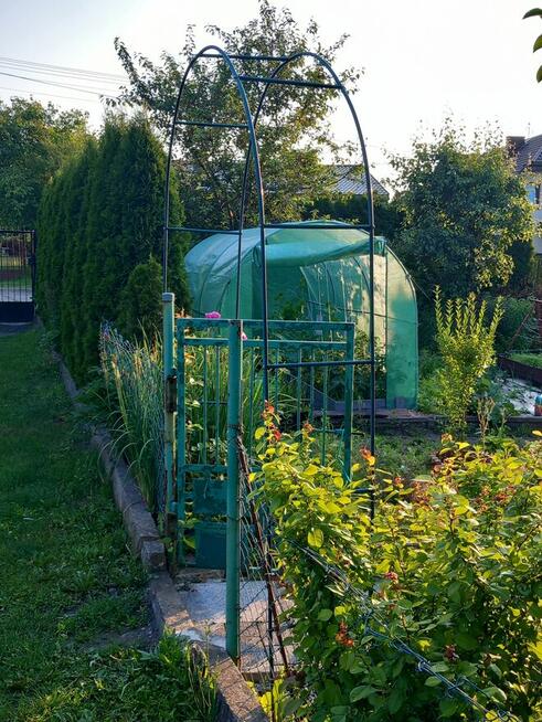 Sprzedam działkę ROD