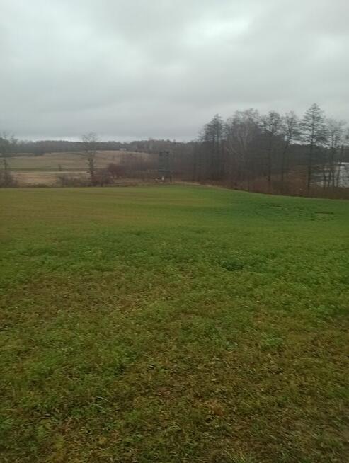 Działki na Mazurach