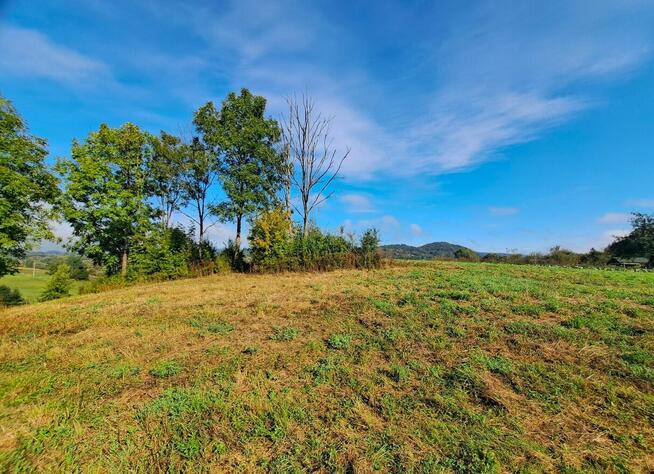 Działka z warunkami zabudowy 12,64 ar w Trepczy