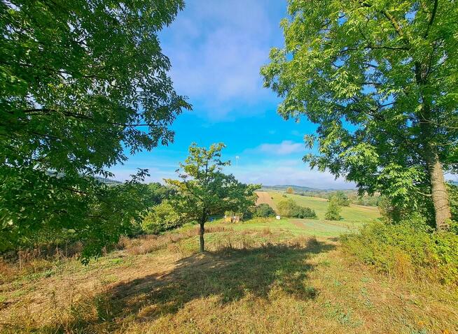 Działka z warunkami zabudowy 12,64 ar w Trepczy