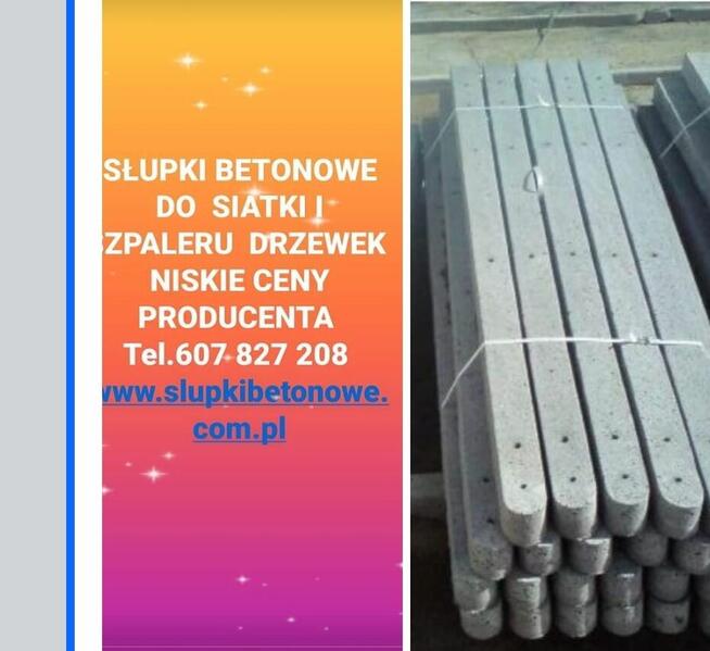 Słupki betonowe do siatki leśnej i szpaleru sadu