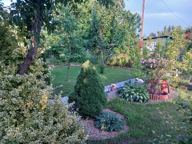 Sprzedam działkę ROD