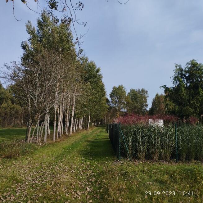 Działka rolna