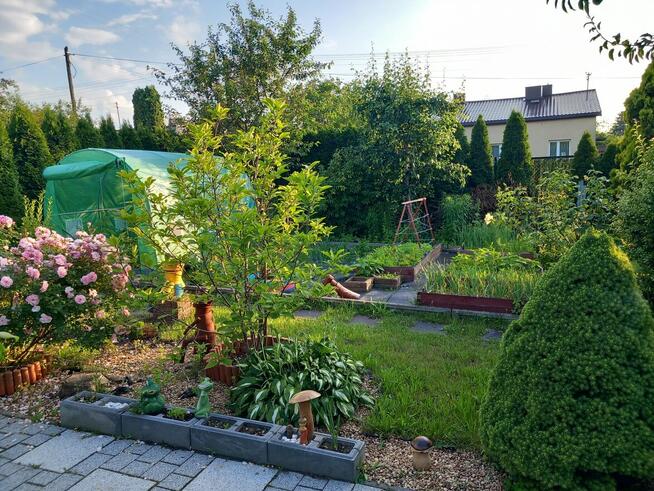 Sprzedam działkę ROD