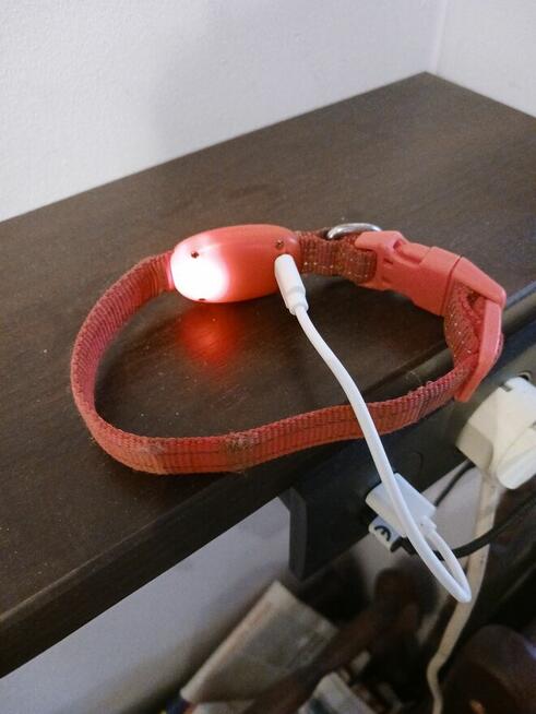 Obroża LED dla kota, psa pomarańczowa wysyłka gratis