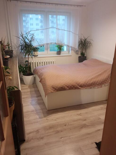 Sprzedam trzypokojowe mieszkanie w Trzebieniu