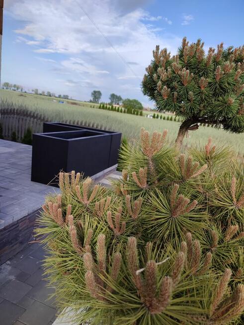 KM-TermoDonice. Beton architektoniczny gładki. Transport