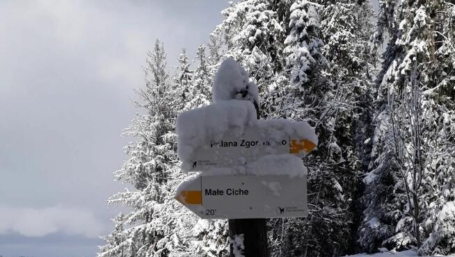 Narty - Snowboard - Murzasichle 16.02-22.02, 23.02-1.03.2025