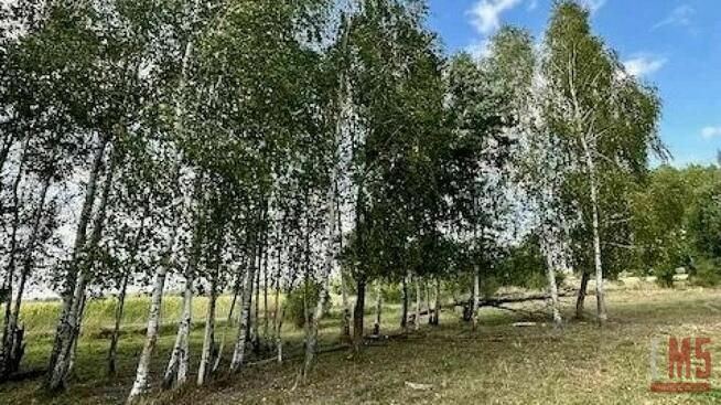 Działka budowlana Rafałówka gm. Zabłudów Rafałówka