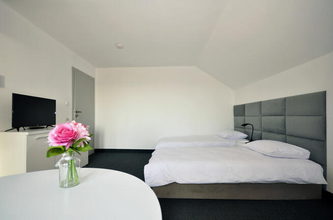 Sprzedam 2 Wille- pensjonat/ dom Żarnowska koło Łeby