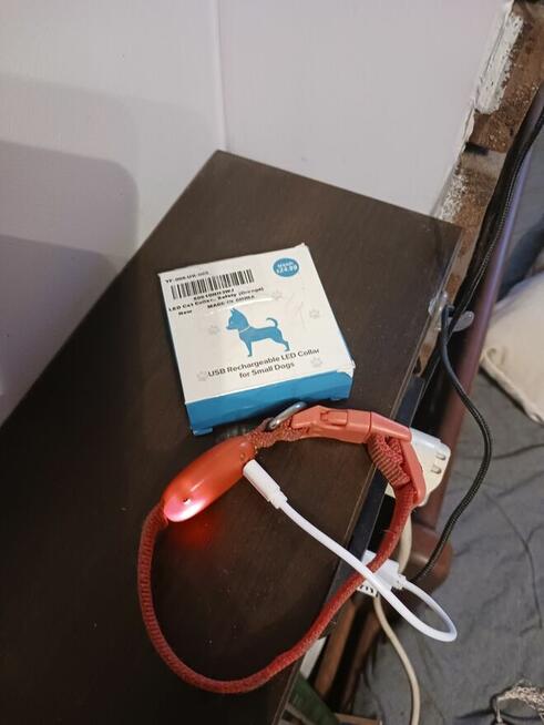 Obroża LED dla kota, psa pomarańczowa wysyłka gratis