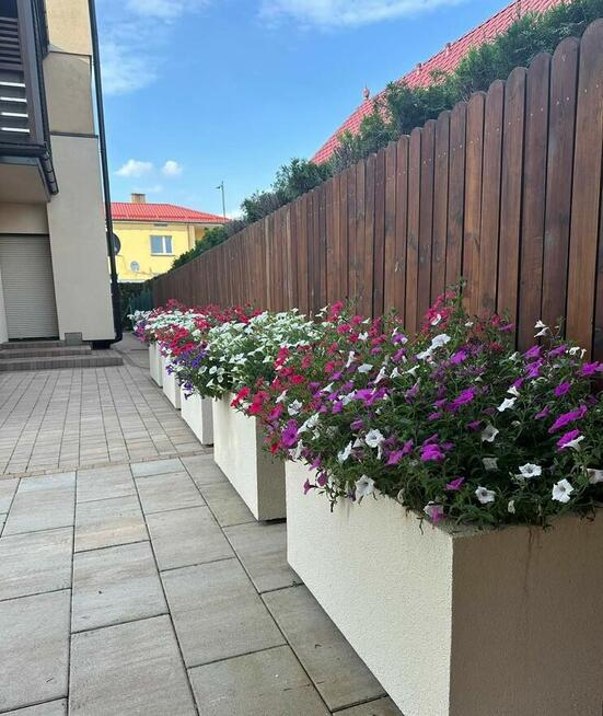 KM-TermoDonice. Donica.Tynk strukturalny baranek. Transport