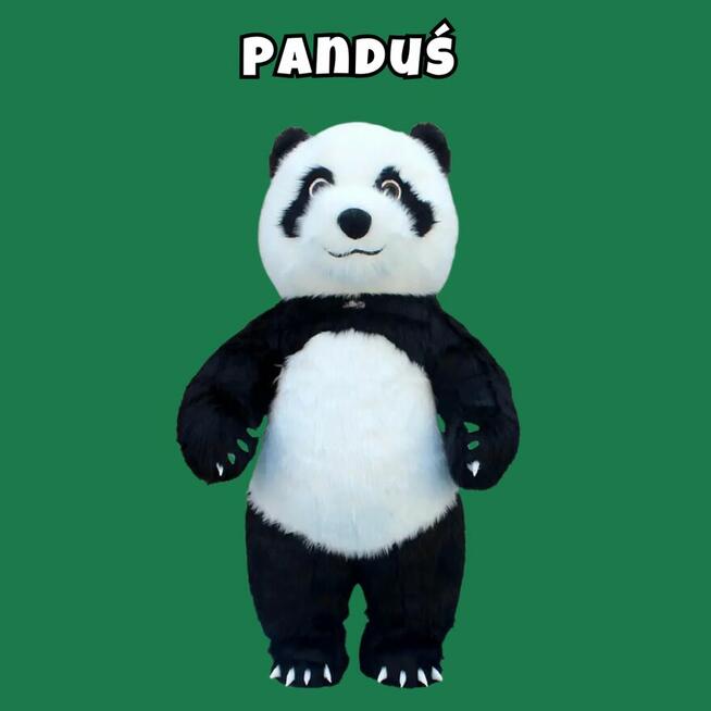 Wizyta Misia XXL - 2,6 lub 3 Metry - Radości na Twojej Impre