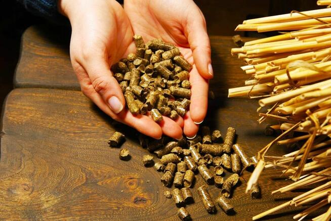 Inwestor , wspólnik