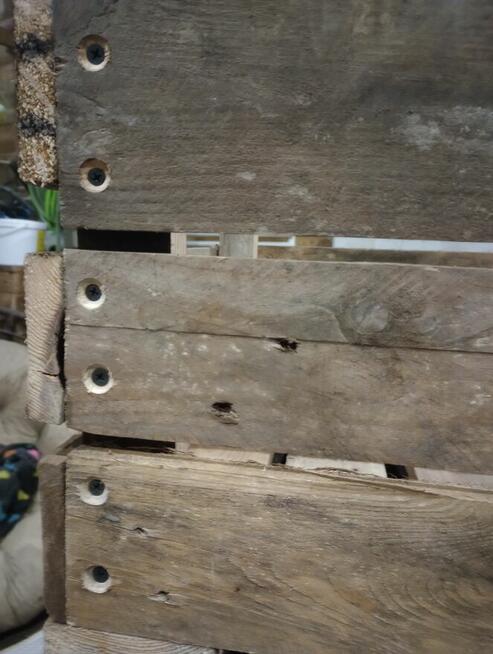 Drewniana skrzynia na owoce warzywa itp.