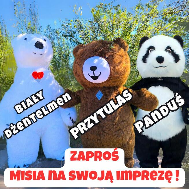 Wizyta Misia XXL - 2,6 lub 3 Metry - Radości na Twojej Impre