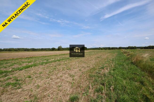 Działka rolna 0.43 ha Dobrzanów gm. Skórzec