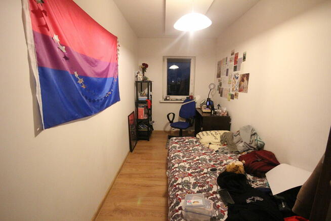 5pok, 77met, okolice Kraszewskiego ROZKŁAD/PIWNICA (Wrocław)