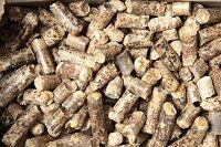 Inwestor , wspólnik