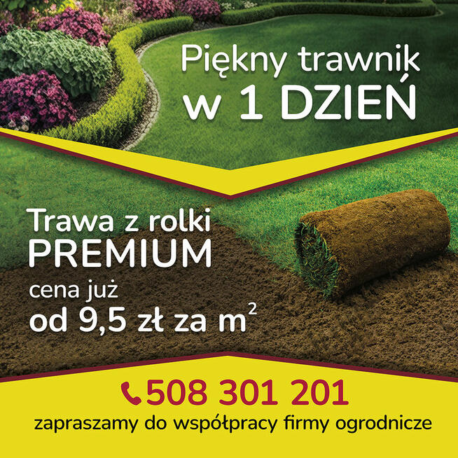 Trawa w rolce PREMIUM TRAWNIK POLSKI