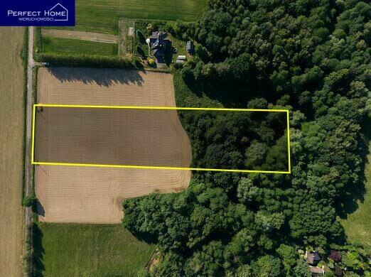 Działka Roztropice gm. Jasienica