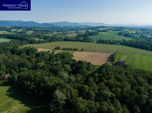 Działka Roztropice gm. Jasienica