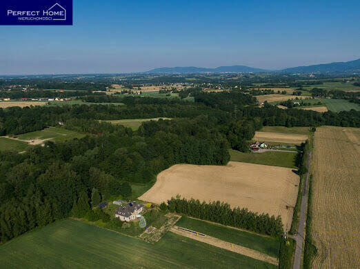 Działka Roztropice gm. Jasienica