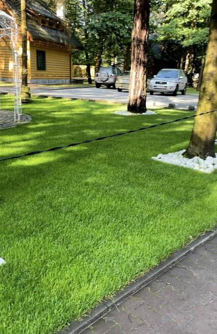 Trawa w rolce PREMIUM TRAWNIK POLSKI