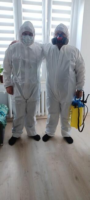 Dezynsekcja- zwalczanie karaluchów, prusaków, www.znikaplusk