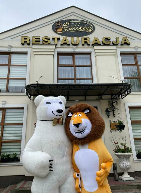 Atrakcja na wesele, mega duże misie na imprezę, event