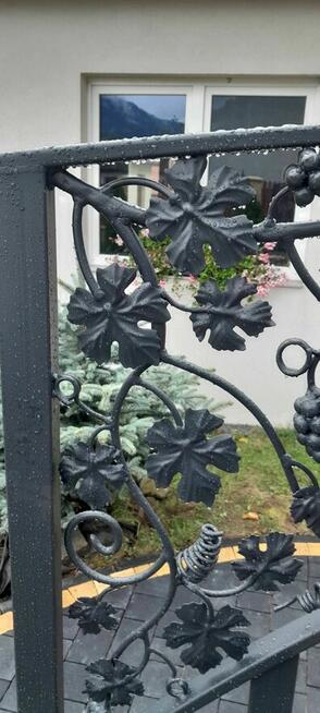 Przęsła ogrodzeniowe, balkon francuski