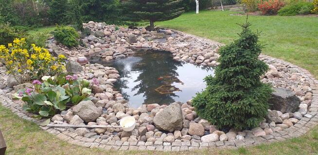 Serwis ogrod i brukarski