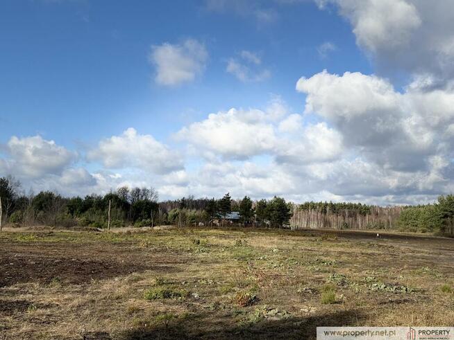 Działka 0,17 ha, Grabiny, Gm. Czarna