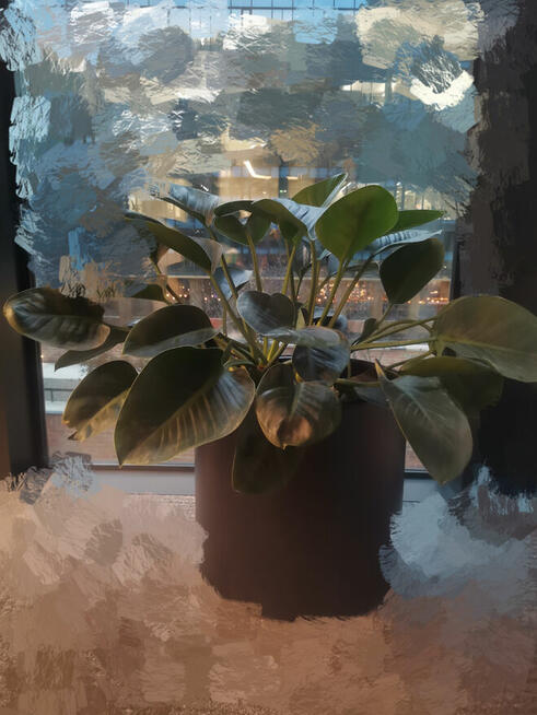 Ogrodnik roślin doniczkowych / Pogotowie roślinne